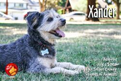 2017 Retailer of the Year: Pet Food Express